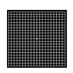 Amsler Grid w/Black Background 250 sheets