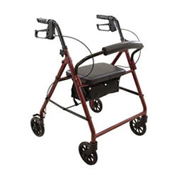 ProBasics Medical Rolling Walker With Wheels 6-Inch Wheels