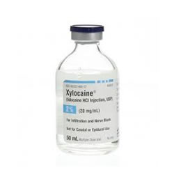 Xylocaine/Epinephrine 2% 50ml MDV